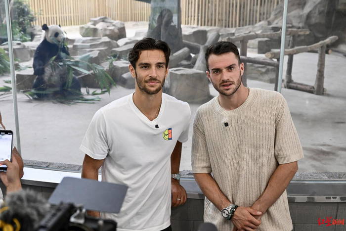 尽管达姆施 尽管达姆施